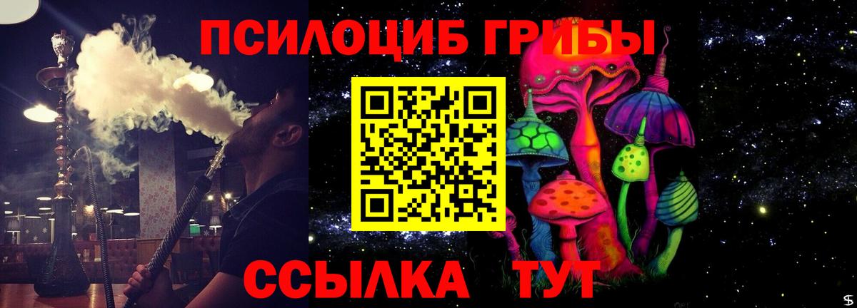 Псилоцибиновые грибы MAGIC MUSHROOMS  Галлюциногенные грибы прущие грибы  Волгодонск  Вход с VPN 